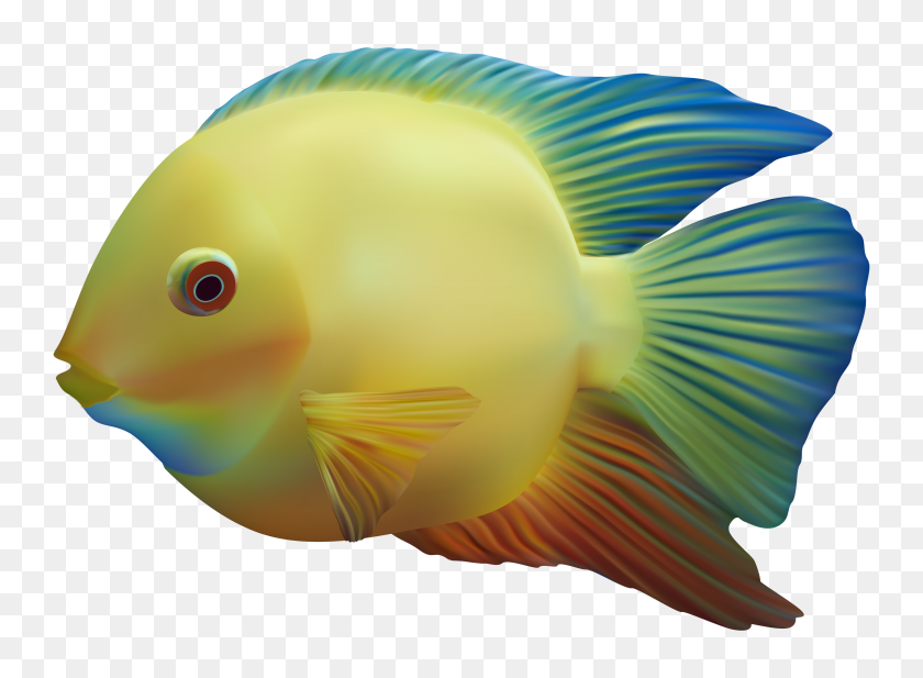 3060x2189 Fish Png Image, Free Download - Fish Jumping Out Of Water PNG