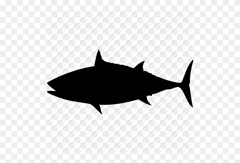 512x512 Fish, Sea, Shark, Shark Attack, Shark Fin, Shark Warning, Water Icon - Shark Fin PNG
