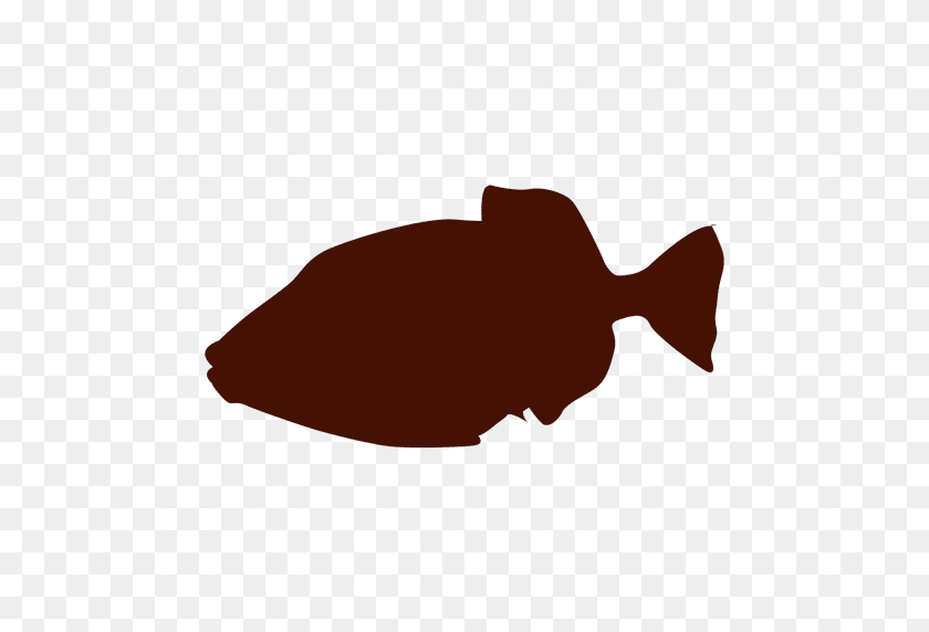 512x512 Fish Silhouette - Fish Silhouette PNG