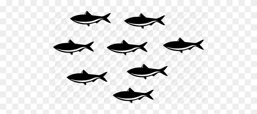 512x314 Fishes, Many Fish, School Of Fish, Sea, Sealife, Team, Underwater Icon - School Of Fish PNG