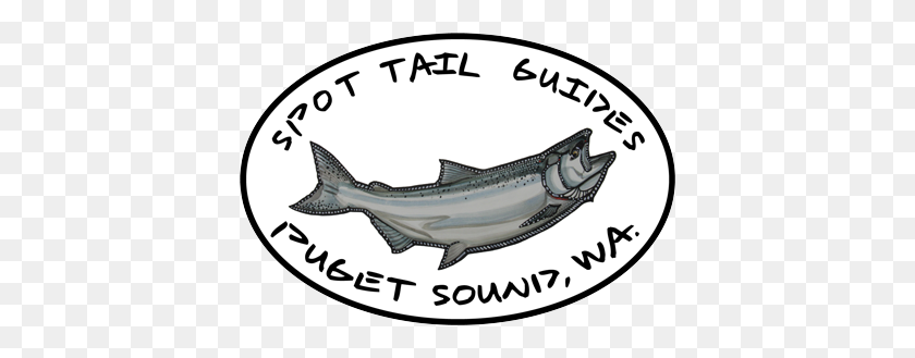 400x269 Fishing Blog Local Fishing News A Spot Tail Salmon Guide - Fishing Black And White Clipart