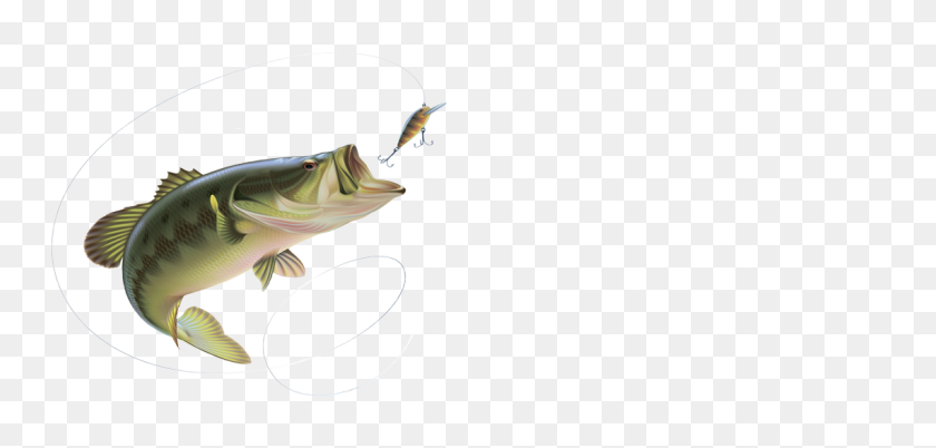 1140x500 Fishing Pole Png Transparent Images, Pictures, Photos Png Arts - Fishing Pole PNG
