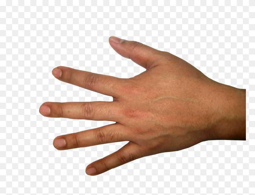 3264x2448 Five Finger Hand Png Image - Back Of Hand PNG