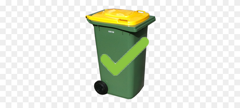 250x320 Five Golden Rules To Help Solve Your Recycling Dilemmas - Recycle Bin PNG