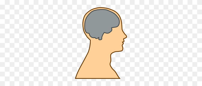 216x300 Cinco Consejos Para Enseñar A Leer Usando La Investigación Cerebral Reciente Brain - Mean Teacher Clipart