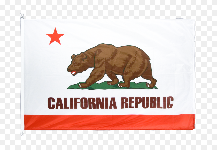 1500x1000 Bandera Pro California - Bandera De California Png