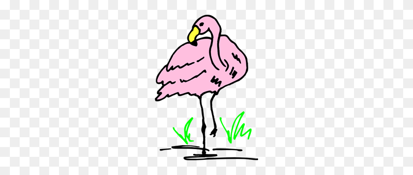 210x297 Flamingo Clipart Png