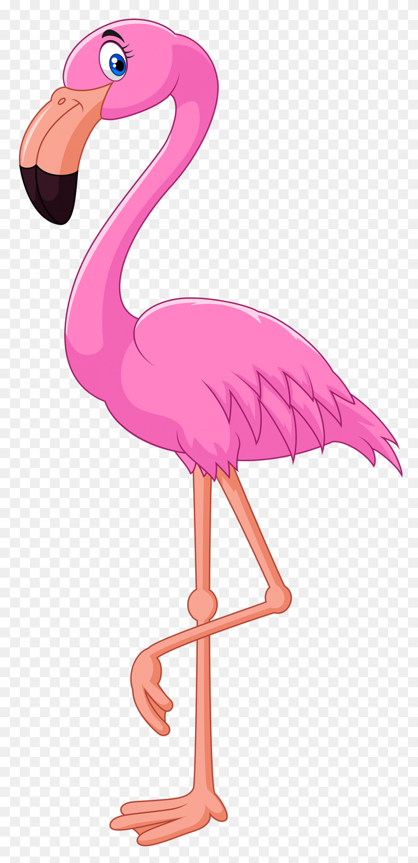 1165x2500 Flamingo Clip Art - Pink Bird Clipart