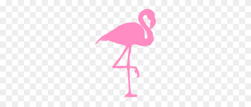 204x299 Фламинго Клипарт - Розовый Фламинго Клипарт