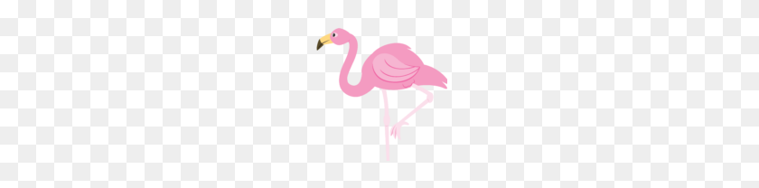 150x148 Flamingo Clipart - Flamenco Clipart