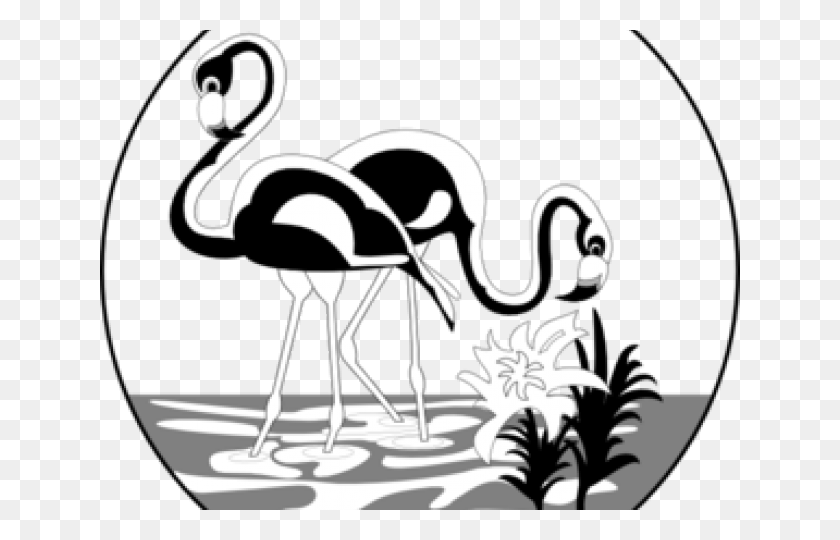 640x480 Flamingo Clipart Black And White - Flamingo Clipart Black And White