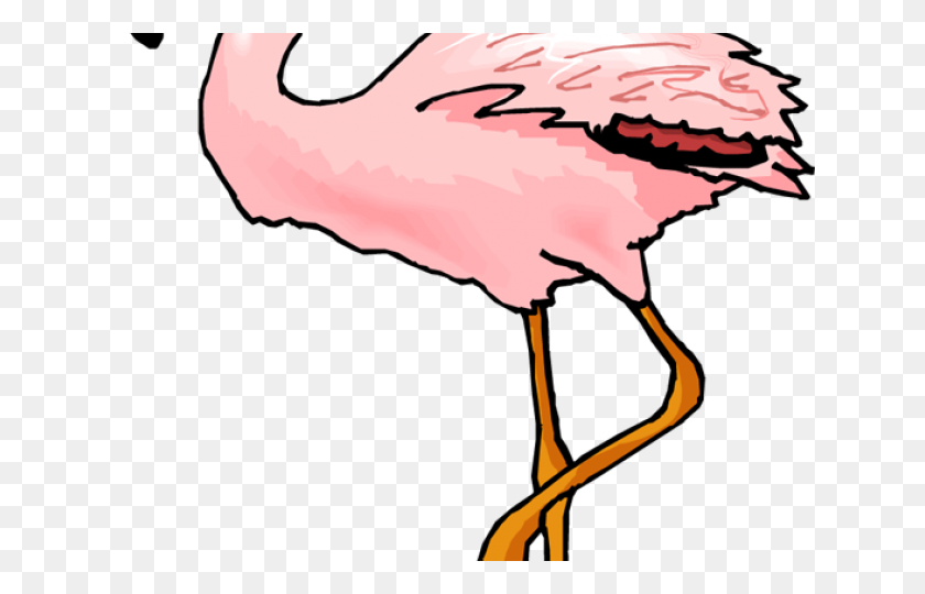 640x480 Flamingo Clipart Coral - Flamingo Clipart Png