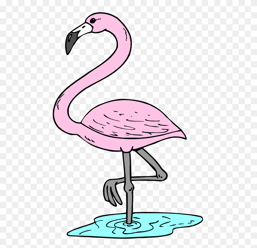 518x750 Flamingo Clipart Face - Flamingo PNG