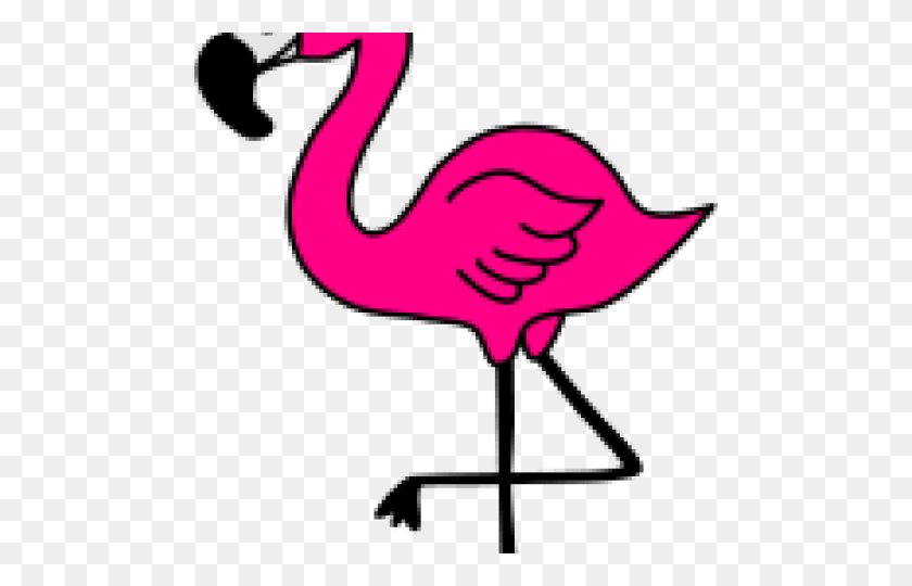 Flamingo Clipart Face Flamingo Silhouette Clipart Stunning