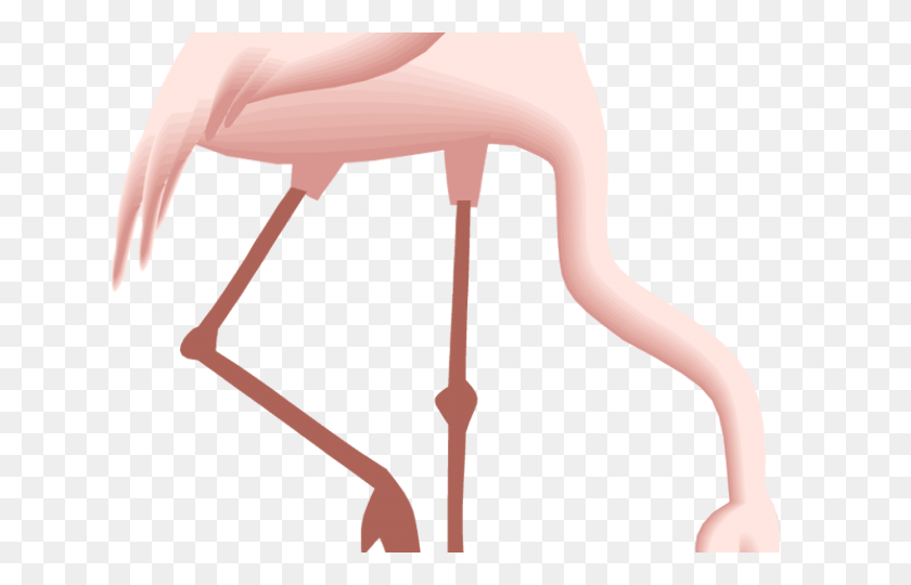 640x480 Flamingo Clipart Pretty In Pink - Flamingo Clipart PNG