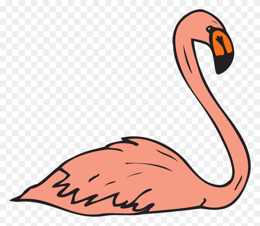 838x720 Flamingo Clipart Wings - Swimming Clipart PNG