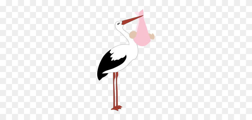 191x340 Flamingo Descargar Formatos De Imagen De Autocad Dxf - Baby Flamingo Clipart