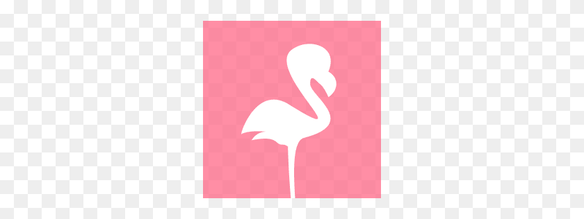 256x256 Flamingo Inc Crunchbase - Розовый Фламинго Клипарт