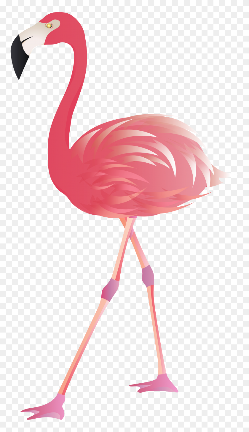 4471x8000 Flamingo Png Clip Art - Pink Flamingo Clip Art