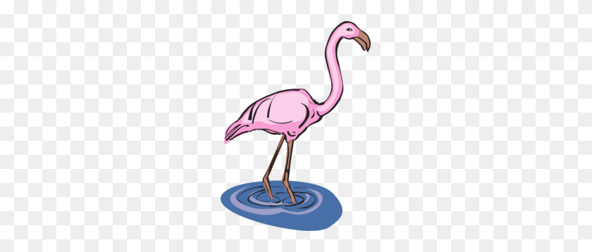 213x298 Flamingo De Pie En El Agua Clipart - Flamingo Clipart