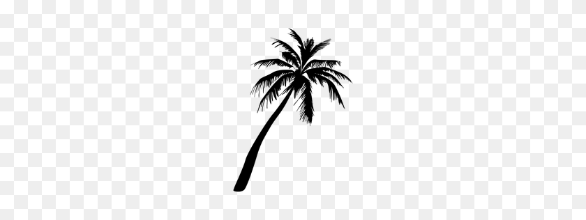 256x256 Flat Tree Silhouette - Tropical Trees PNG