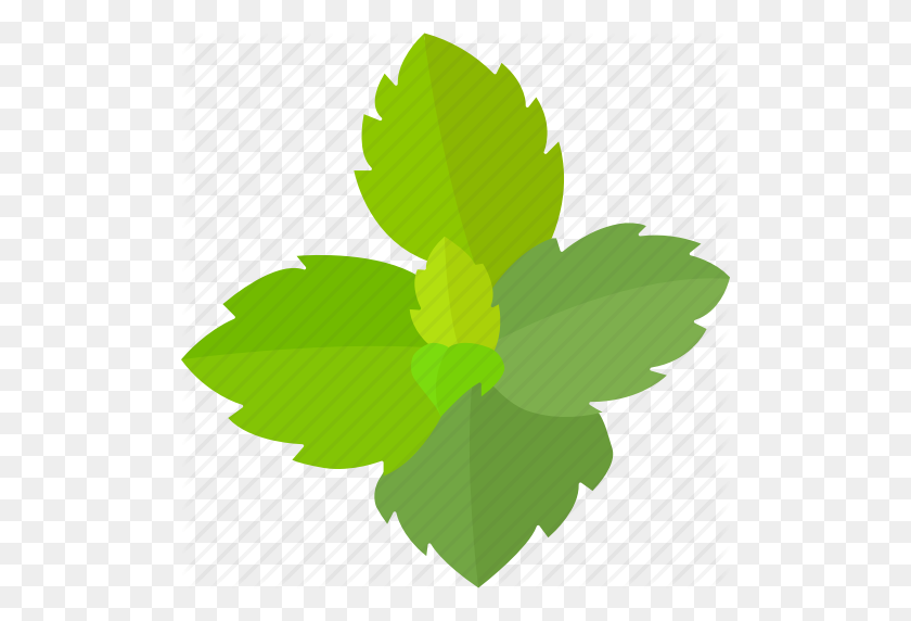 506x512 Flavor, Flavoring, Herb, Leaves, Mint, Peppermint, Spearmint Icon - Mint Leaves PNG