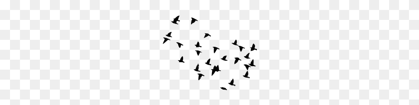 190x151 Flock Of Birds - Flock Of Birds PNG