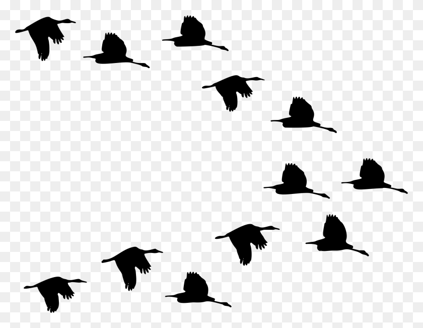 2151x1630 Flock Of Ducks Flying Silhouette Icons Png - Flock Of Birds PNG