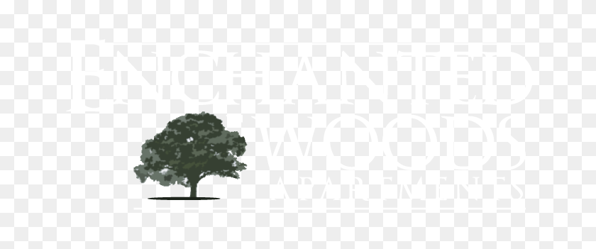 692x291 Планы Этажей Заколдованного Леса В Федеральном Стиле, Штат Ва - Вид На План Деревьев Png