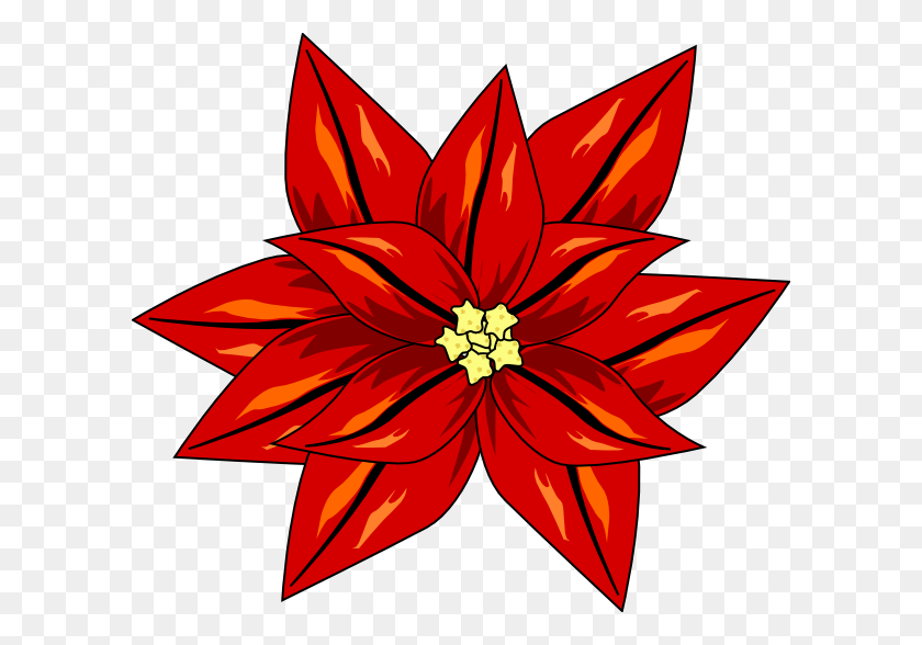 600x528 Flor De Navidad Clipart - Poinsettia Clipart
