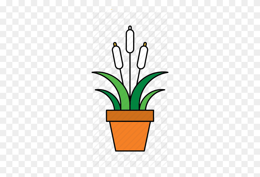 256x512 Flora, Houseplant, Lake, Nature, Peace Lily, Plant Icon - House Plant PNG