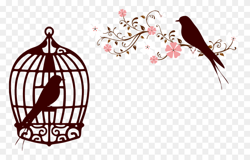 2041x1252 Floral Birds Silhouette No Background Icons Png - Floral Background PNG