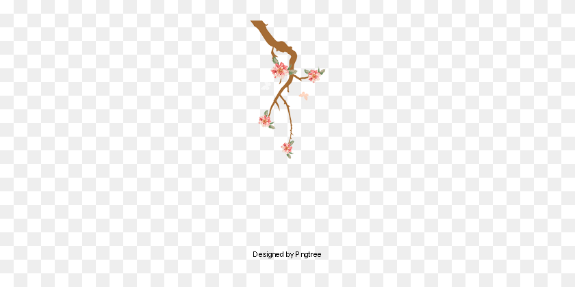 360x360 Diseño De Borde Floral - Pngtree