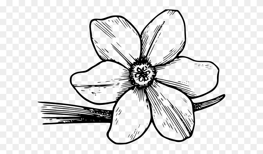 600x432 Floral Clipart Designs - Floral Clipart Black And White