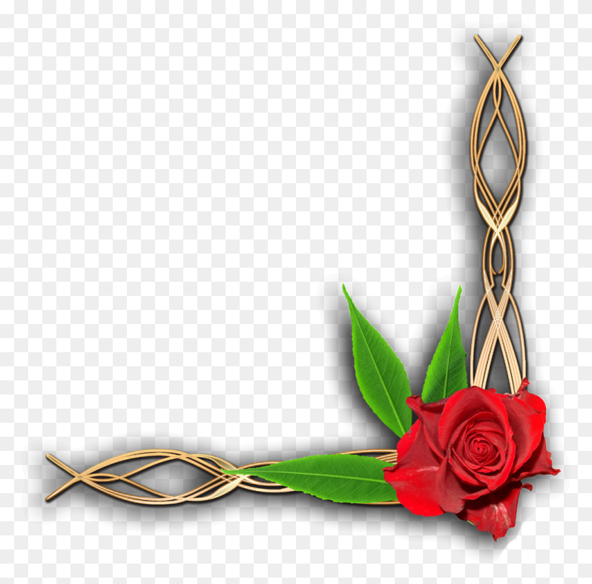 Download Mq Blue Roses Flowers Flower Rose Border Borders - Rose ...