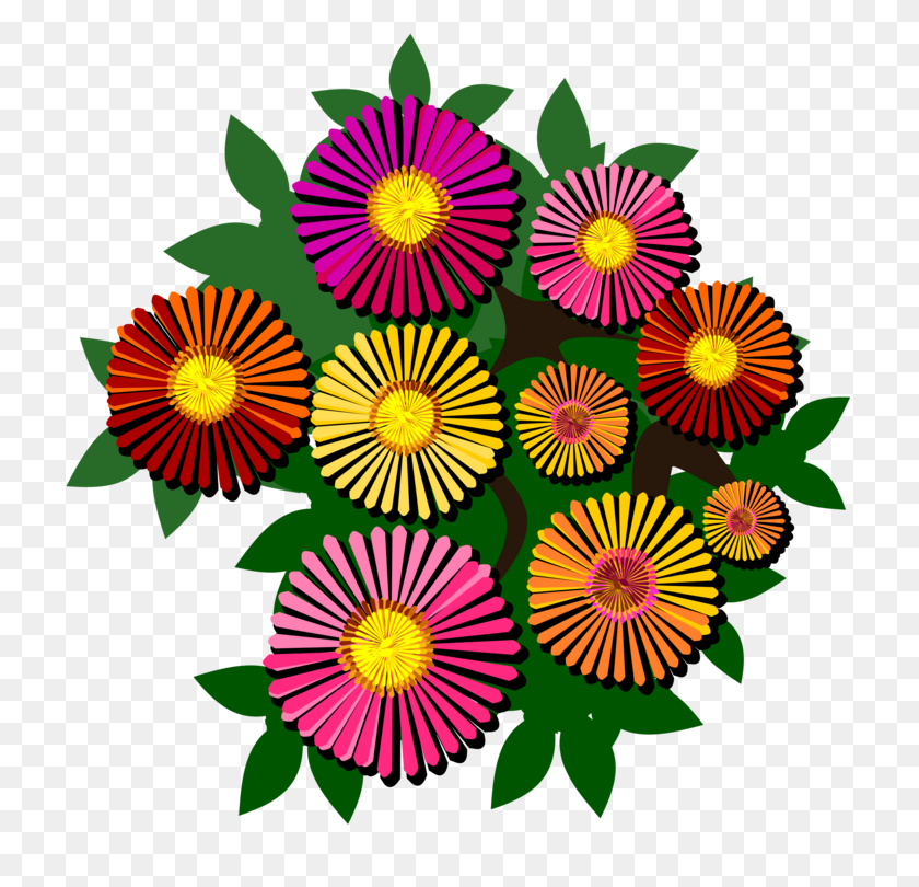 750x750 Цветочный Дизайн Срезанные Цветы Хризантемы Трансвааль Дейзи Камень - Цинния Клипарт