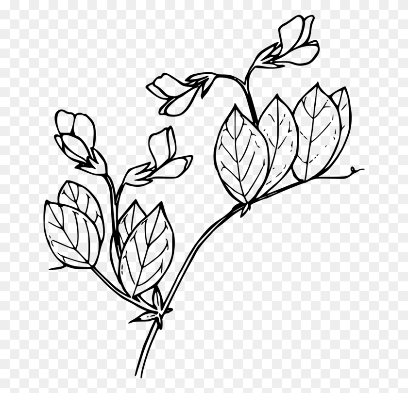662x750 Floral Design Drawing Line Art Visual Arts Black And White Free - Peas Clipart Black And White