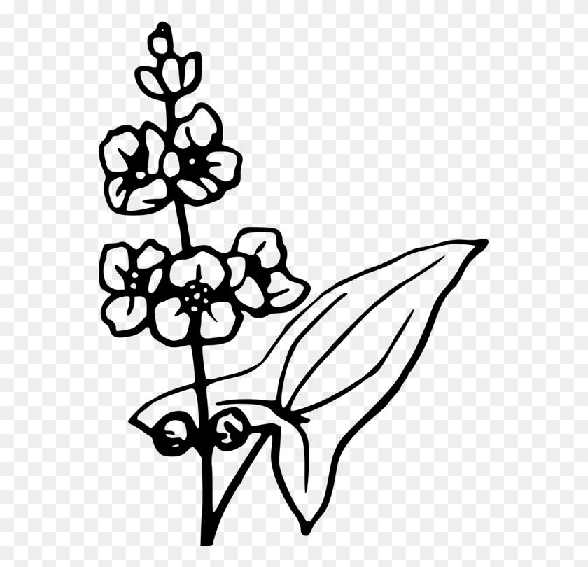 557x750 Floral Design Visual Arts Leaf Monochrome - Flower With Leaves Clipart