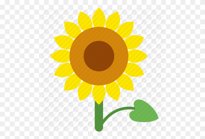 512x512 Floral, Flower, Garden, Seed, Sun, Sunflower Icon - Sunflower Seed Clipart