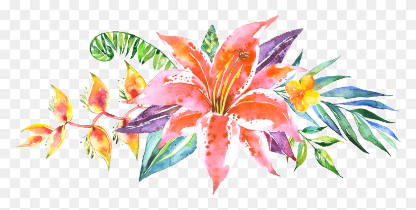 3661x1713 Floral Pattern Vector, Floral Patterns, Flower Line - Watercolor Floral PNG