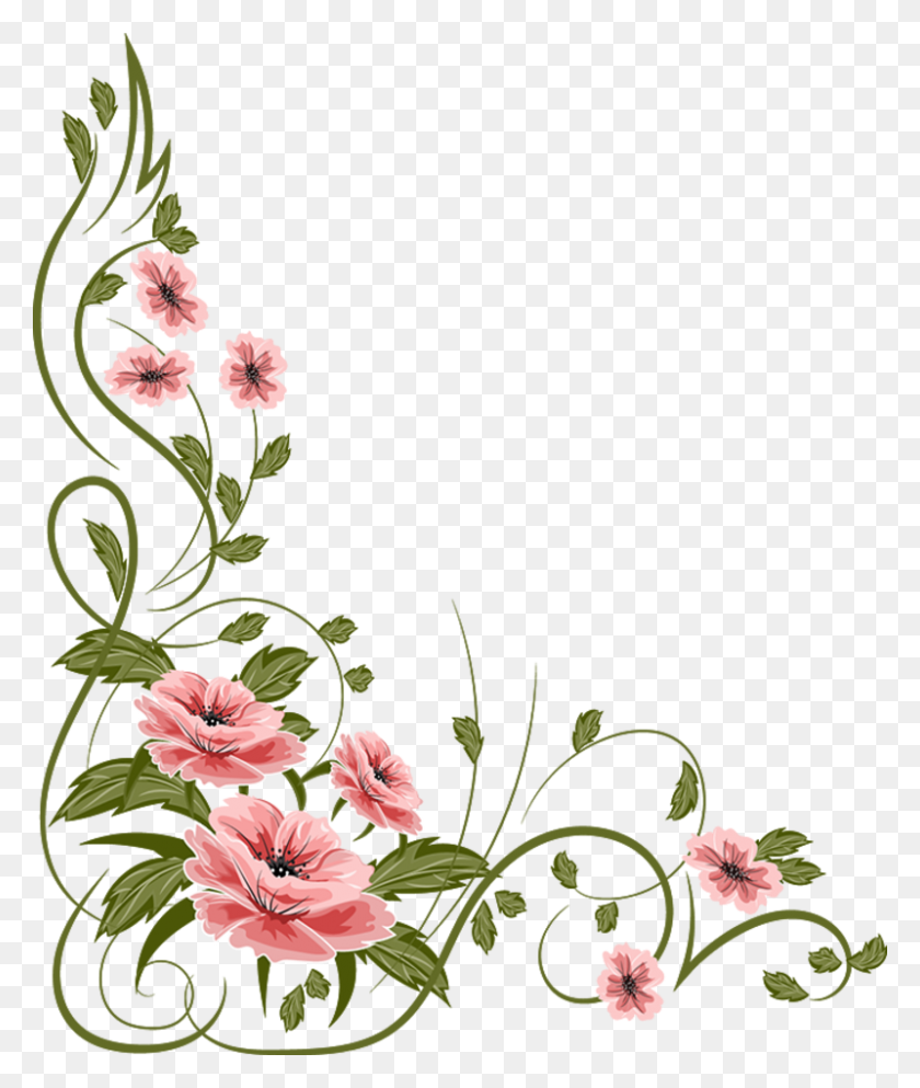 800x957 Floral Vector Simple Clipart Borders Picturesquely - Floral Vector PNG