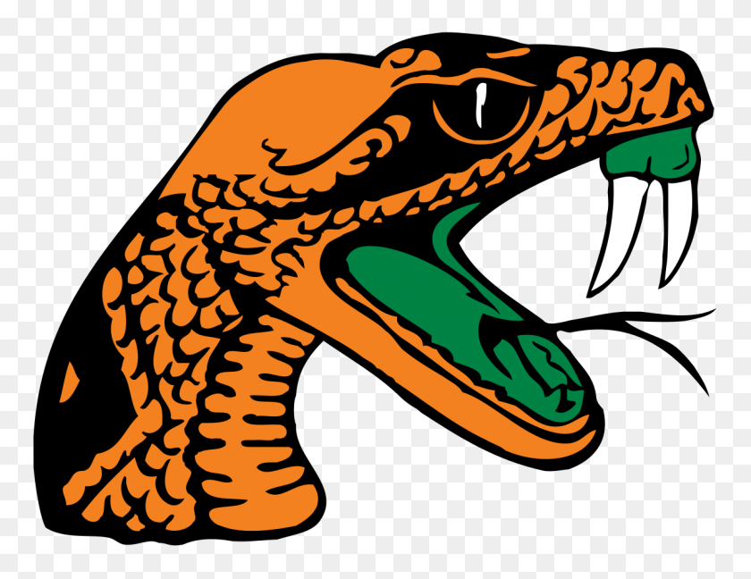 1200x905 Florida Aampm Rattlers Y Lady Rattlers - Raiders Clipart