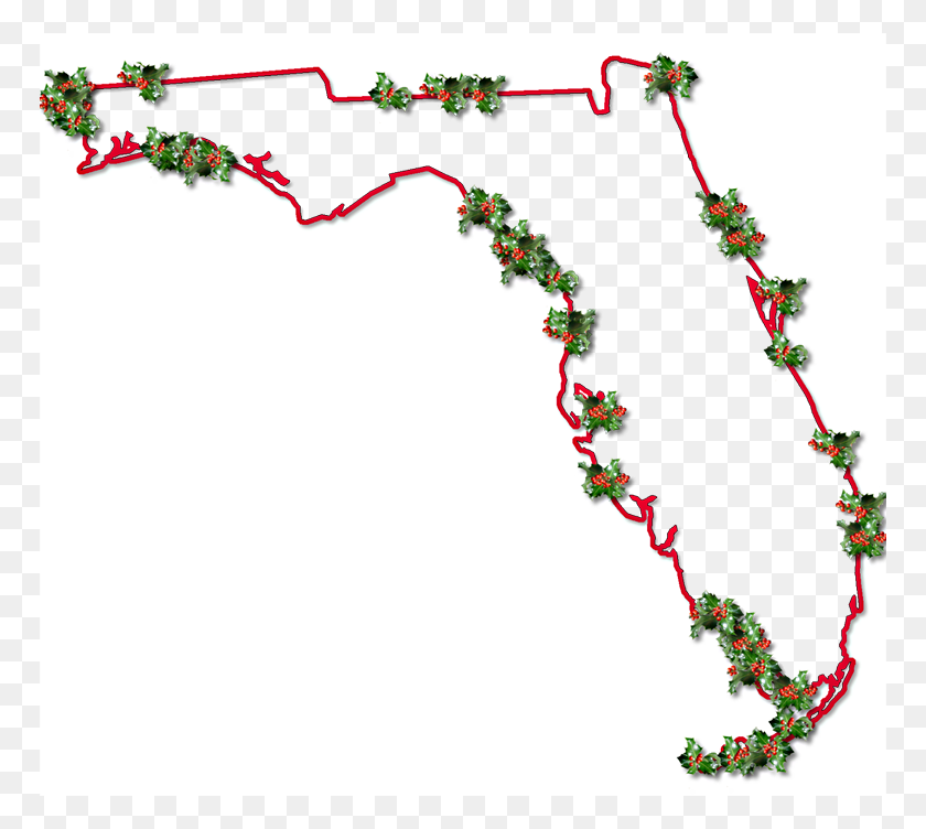 768x692 Mapas De Estilo De Marco Elegante De Florida En Estilos - Florida Png