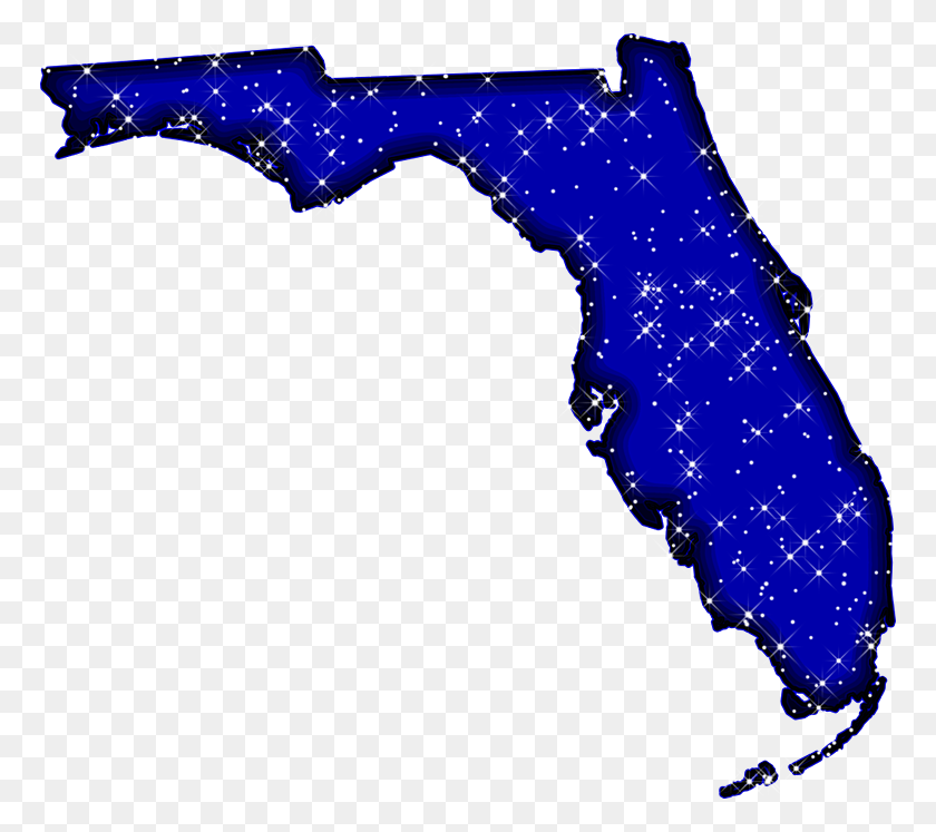 768x687 Florida Fun Style Maps - Starry Night PNG