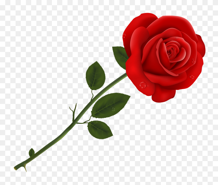 5270x4411 Цветочный Клипарт Бордюр Крылатые Розы - Одна Роза Клипарт