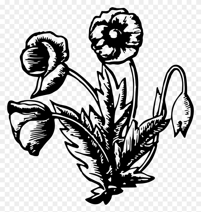 1816x1920 Imágenes Prediseñadas De Flores - Flores Negras Png