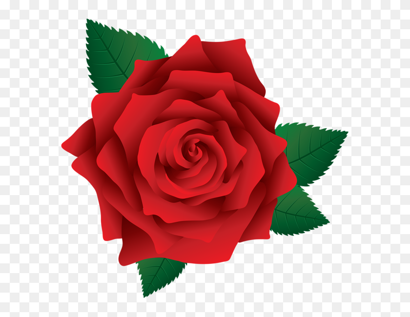 600x590 Flower Clip Art Clip Art, Red - Rose Flower Clipart