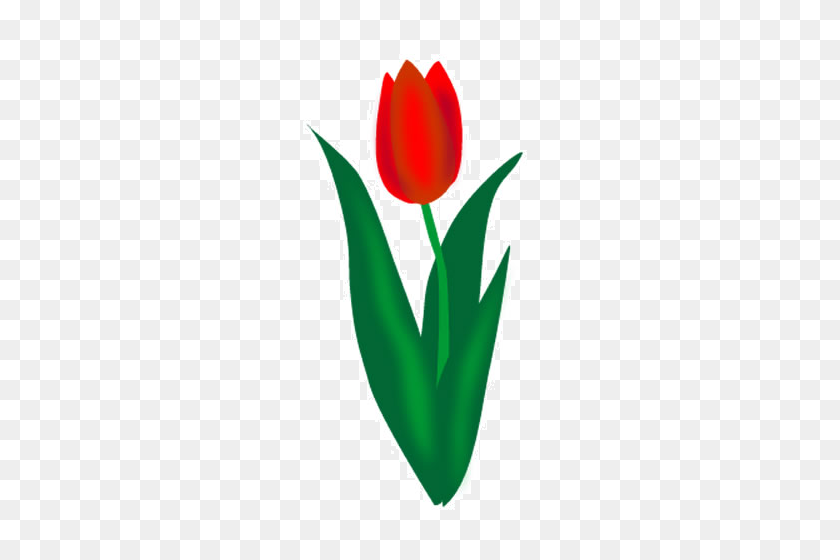 250x500 Flower Clip Art Tulip - Tulip Clipart