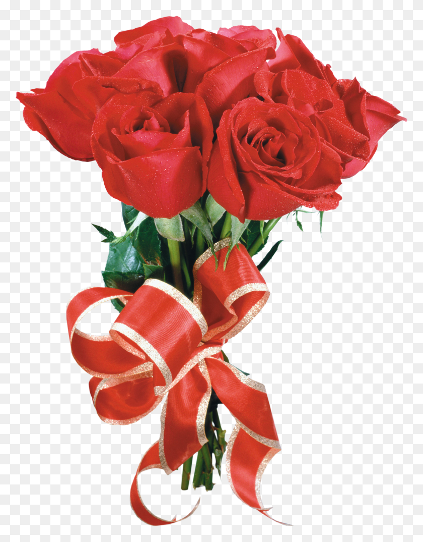 3326x4328 Flower Clipart Flower Rose Desktop Wallpaper Pozdravitelnye - Falling Rose Petals PNG