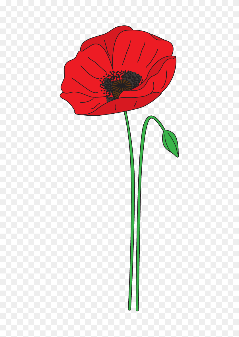 539x1123 Flower Clipart Remembrance Day Poppy Anzac Png - Poppy Flower PNG